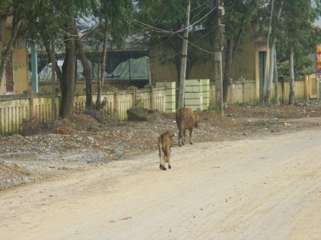 Urlaub in Vietnam 2007